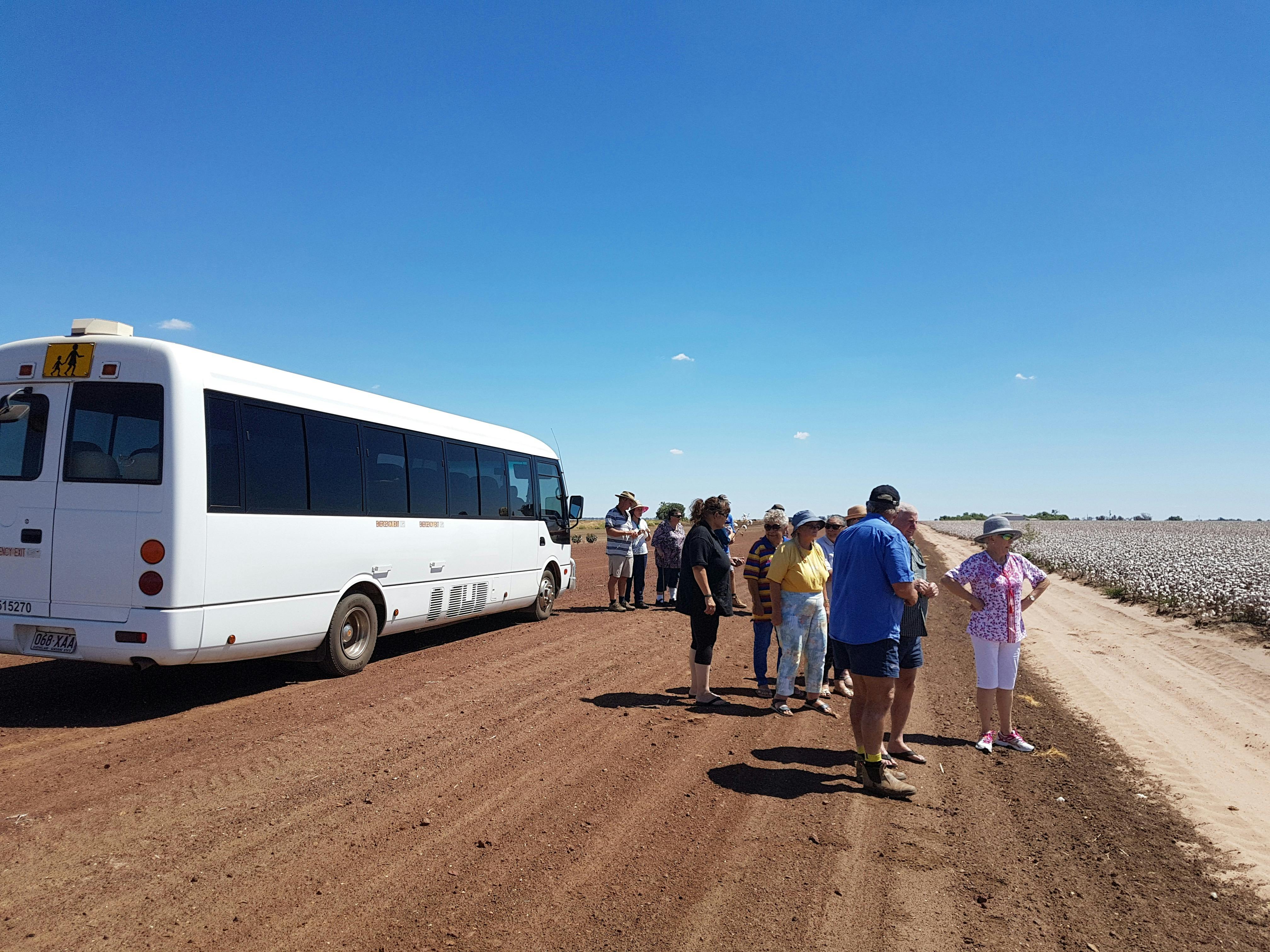Cotton tour