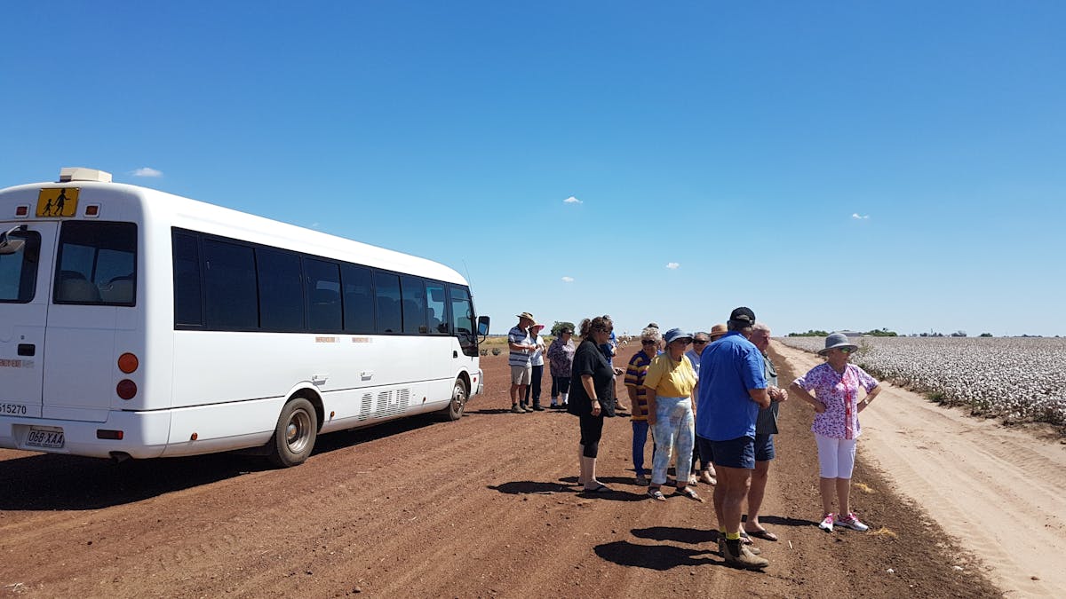 Cotton tour