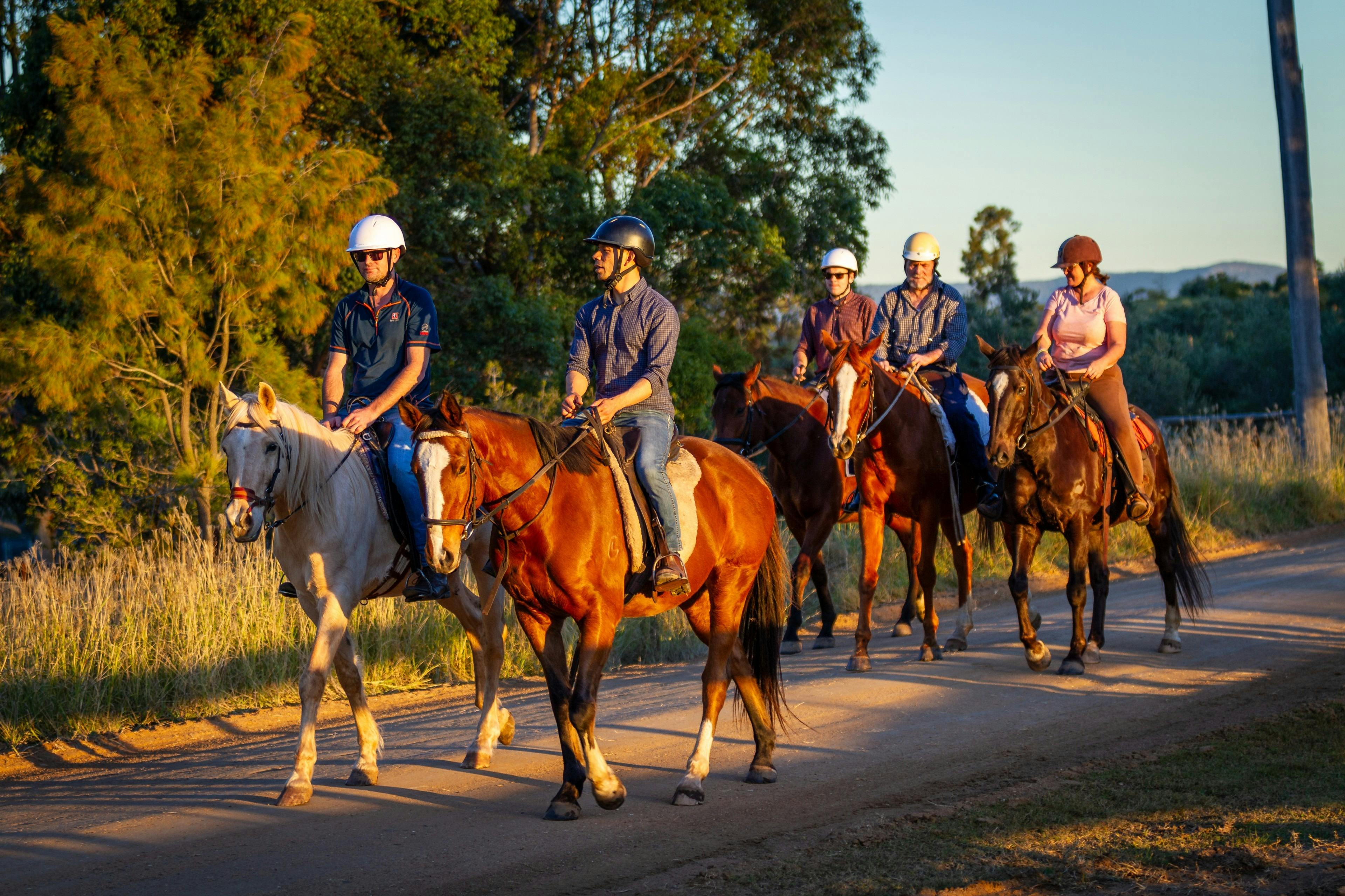 Equine Wine and Dine Tour