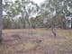 A small clearing at Stringybark Reserve