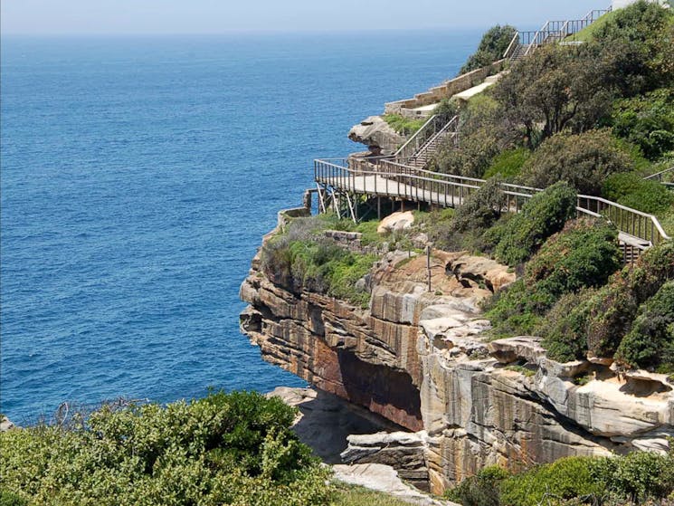 The Federation Cliff Walk Sydney Australia Official