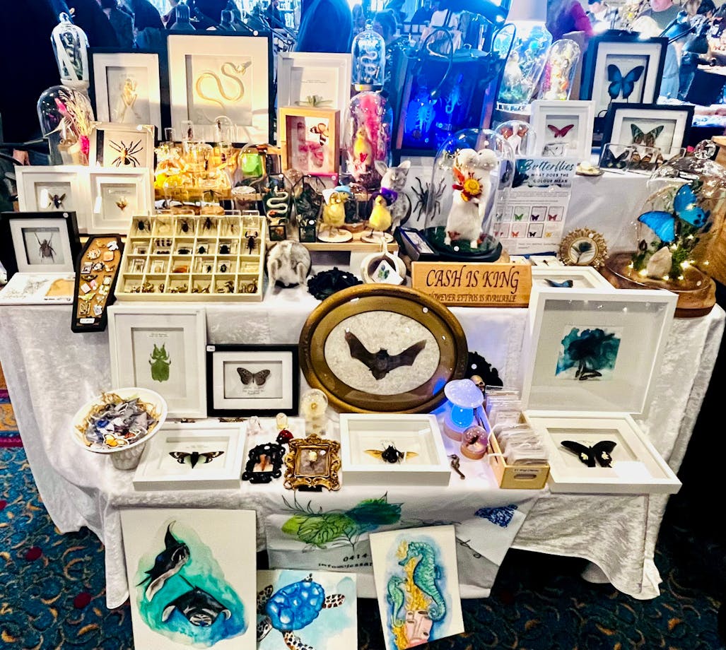 Curiosity & Oddities Stall
