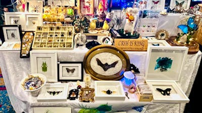 Curiosity & Oddities Stall