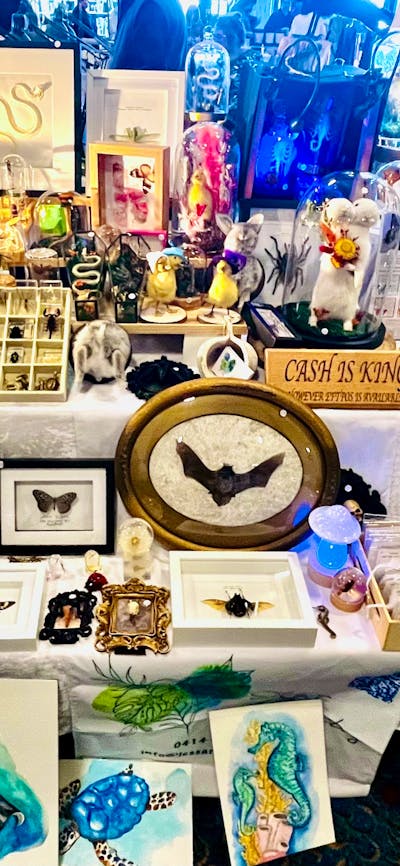 Curiosity & Oddities Stall