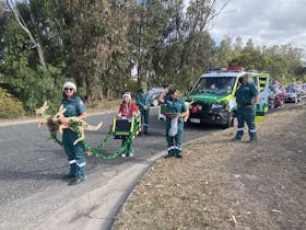 Coffin Bay Christmas Pageant