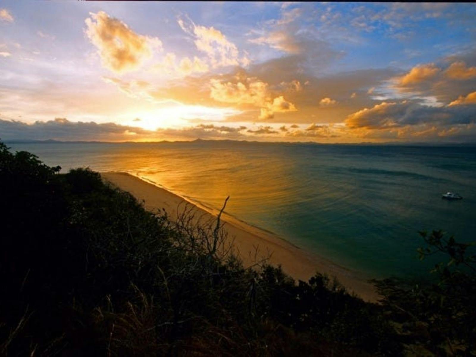 Sunset over ocean from hilltop looking down