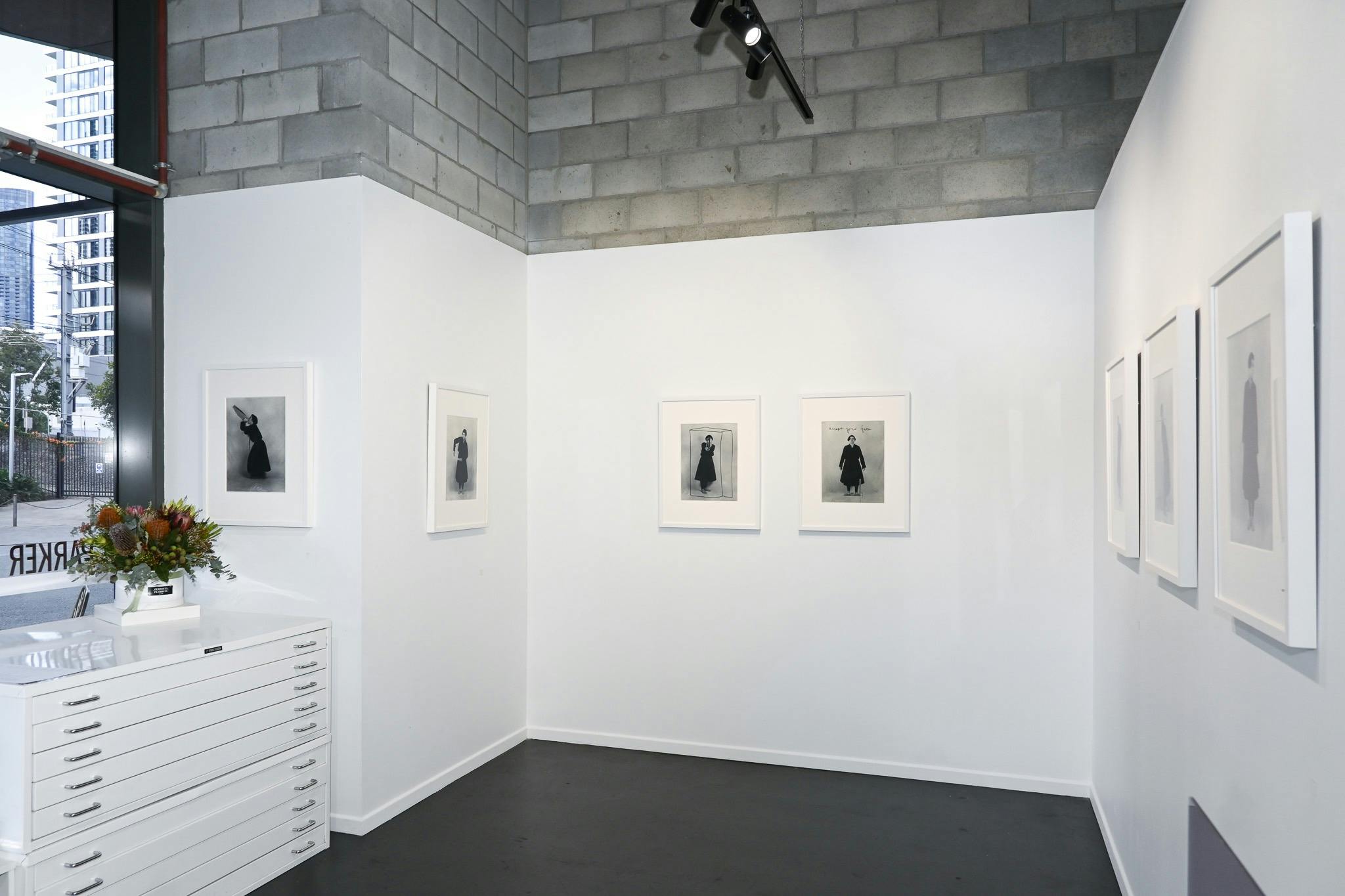 Carolyn Craig: Becoming Penguin (Act II), Installation View