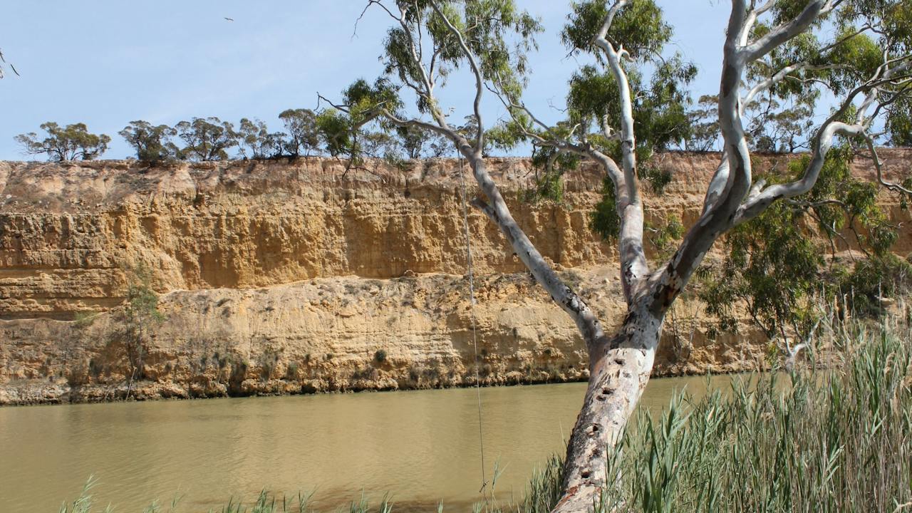 Maize Island Lagoon Conservation Park