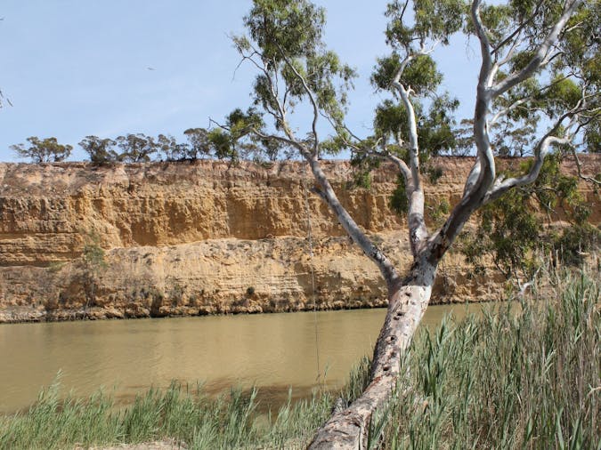 Maize Island Lagoon Conservation Park