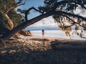 Fitzroy Island image