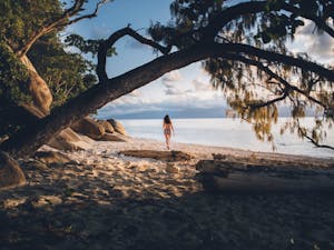 Fitzroy Island