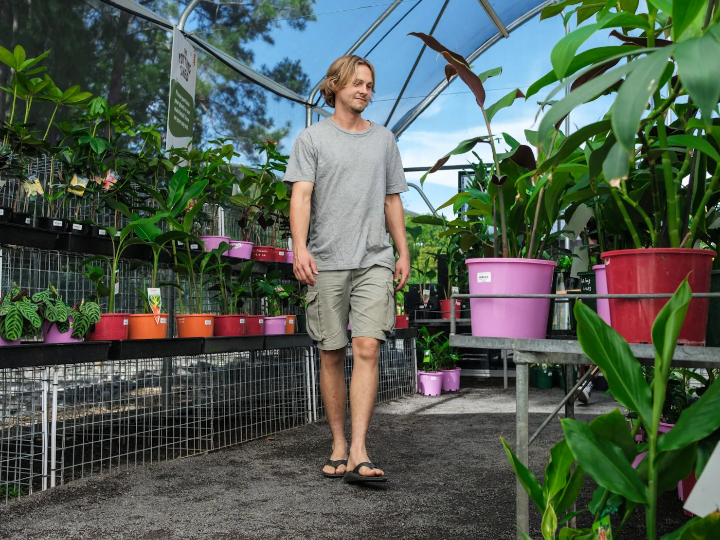 The Potting Shed - year round plant nursery