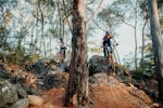 Mountain biking trails in Tumbarumba