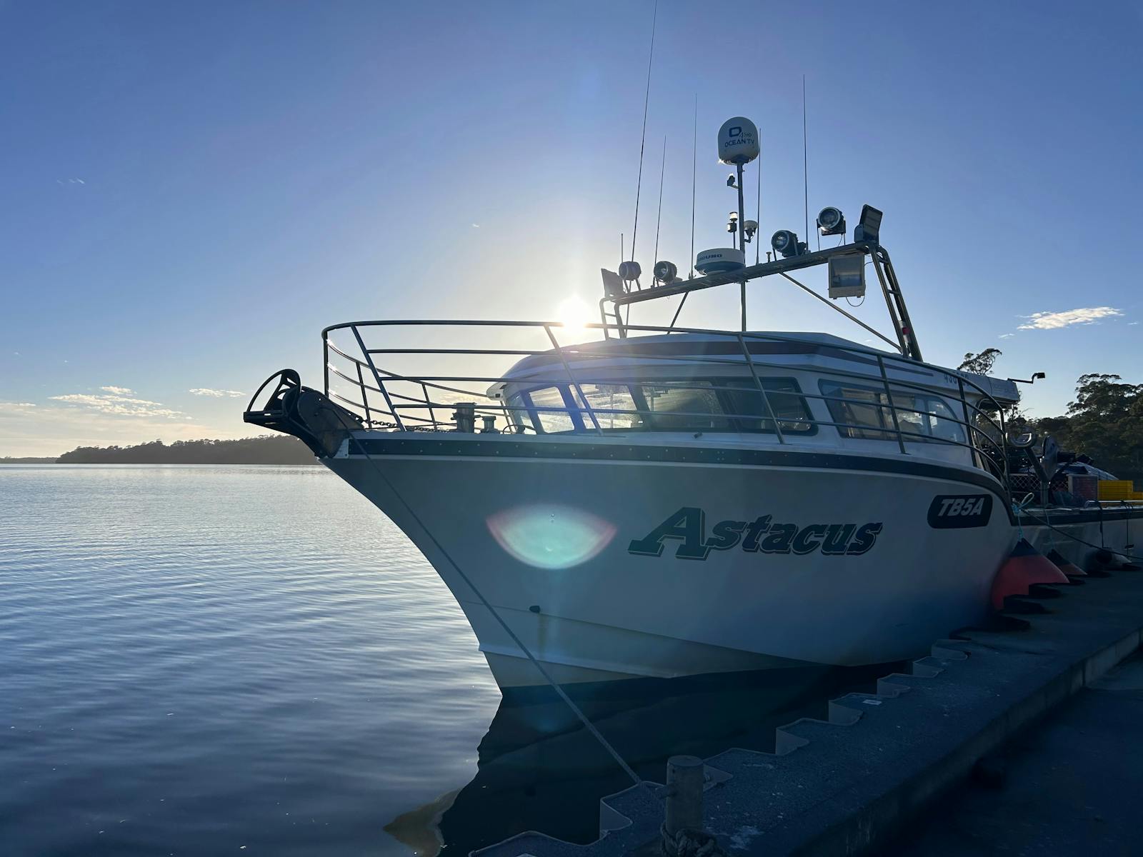 Astacus