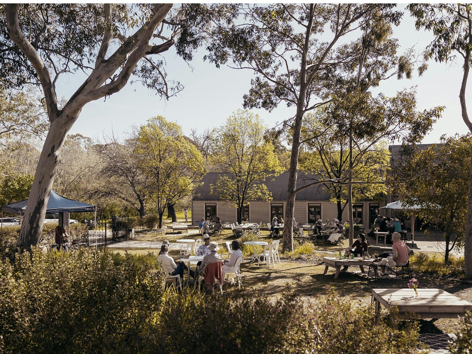 Mitchell Wines Cellardoor garden event from distance