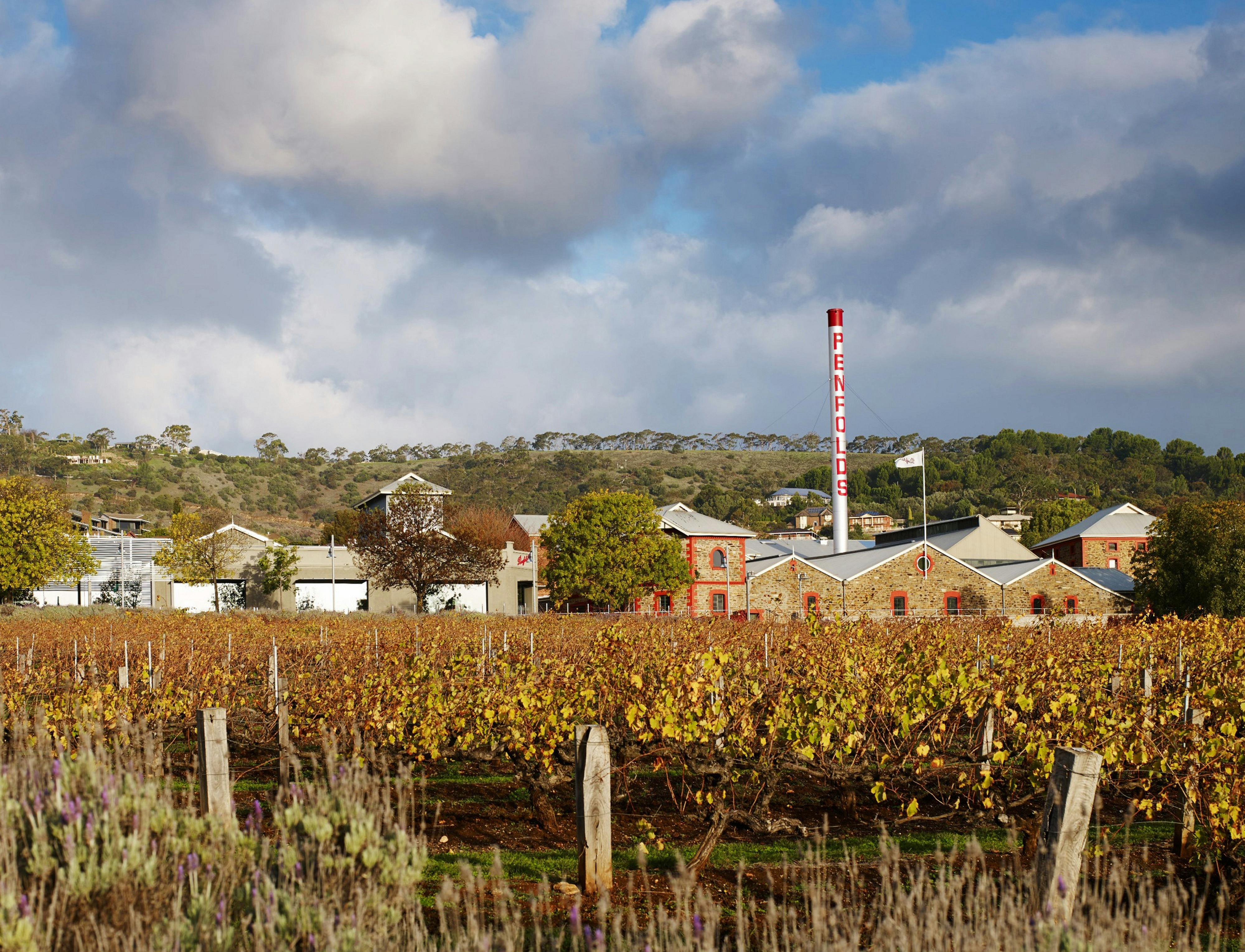 Penfolds Magill Estate