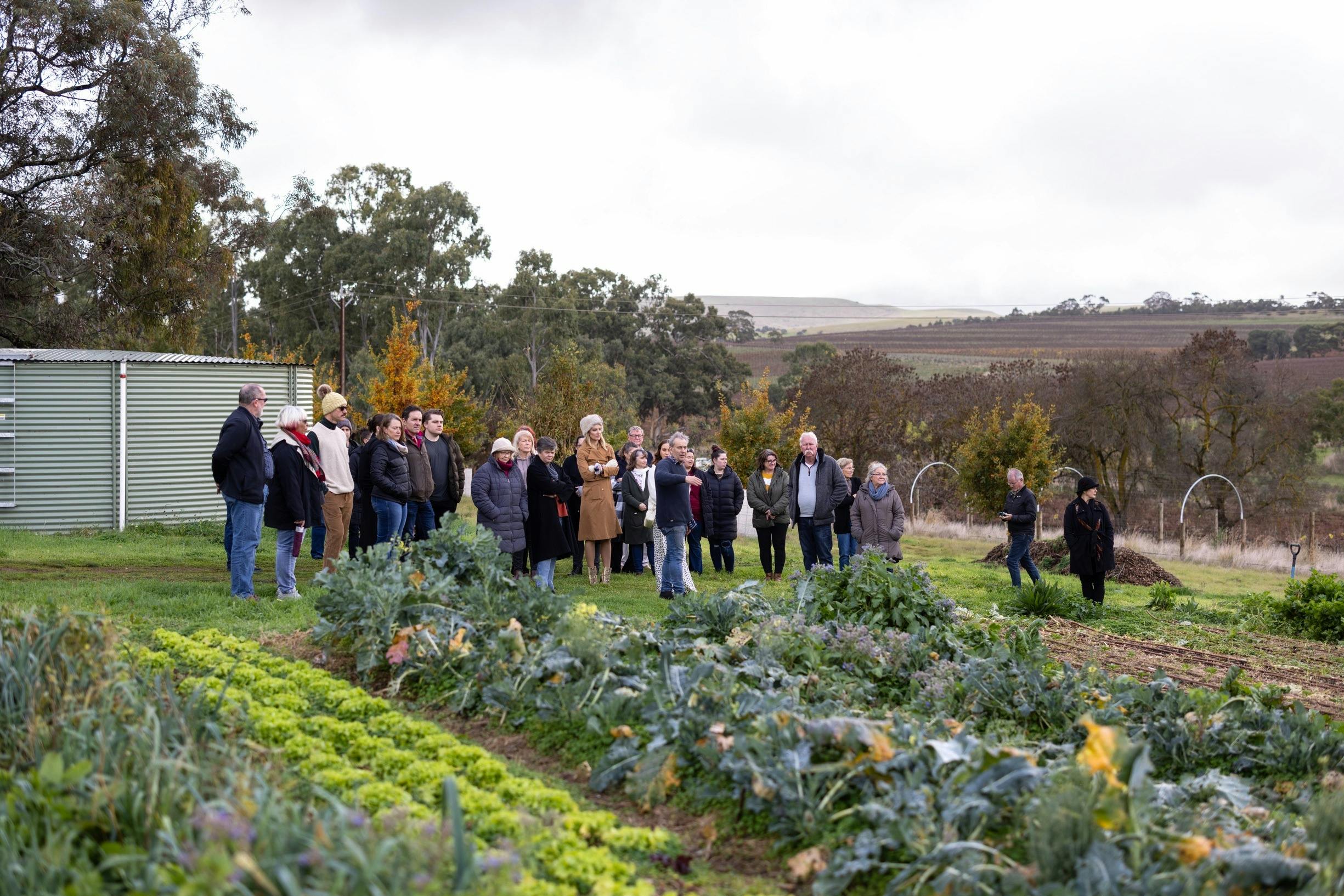 Penobscot Farm Chef's Tour and Feed Me Lunch