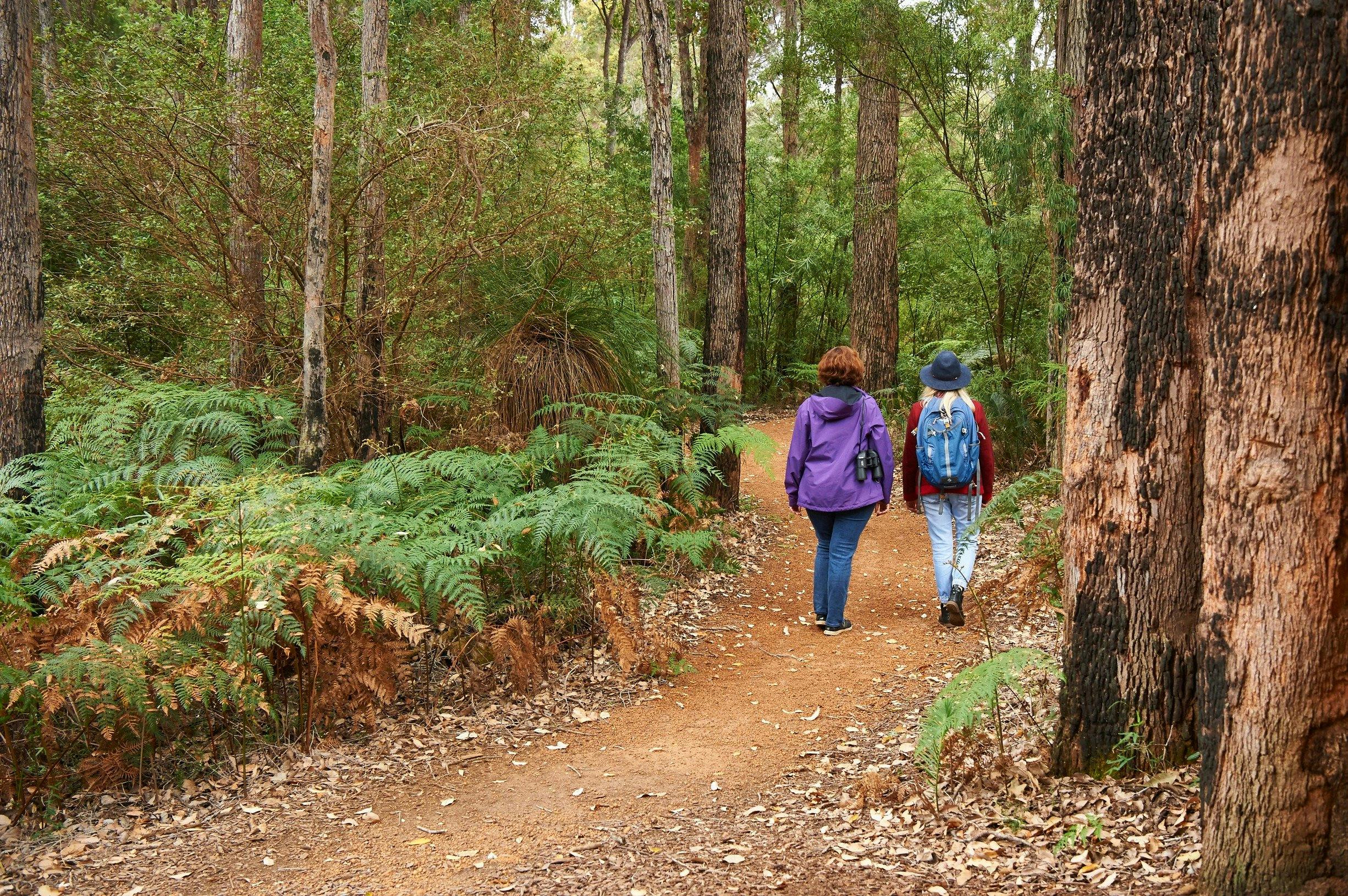 Pemberton, Western Australia