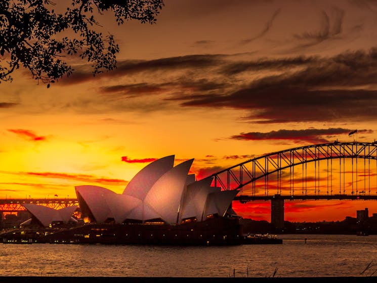 Sunset with Opera House and Harbour Bridge