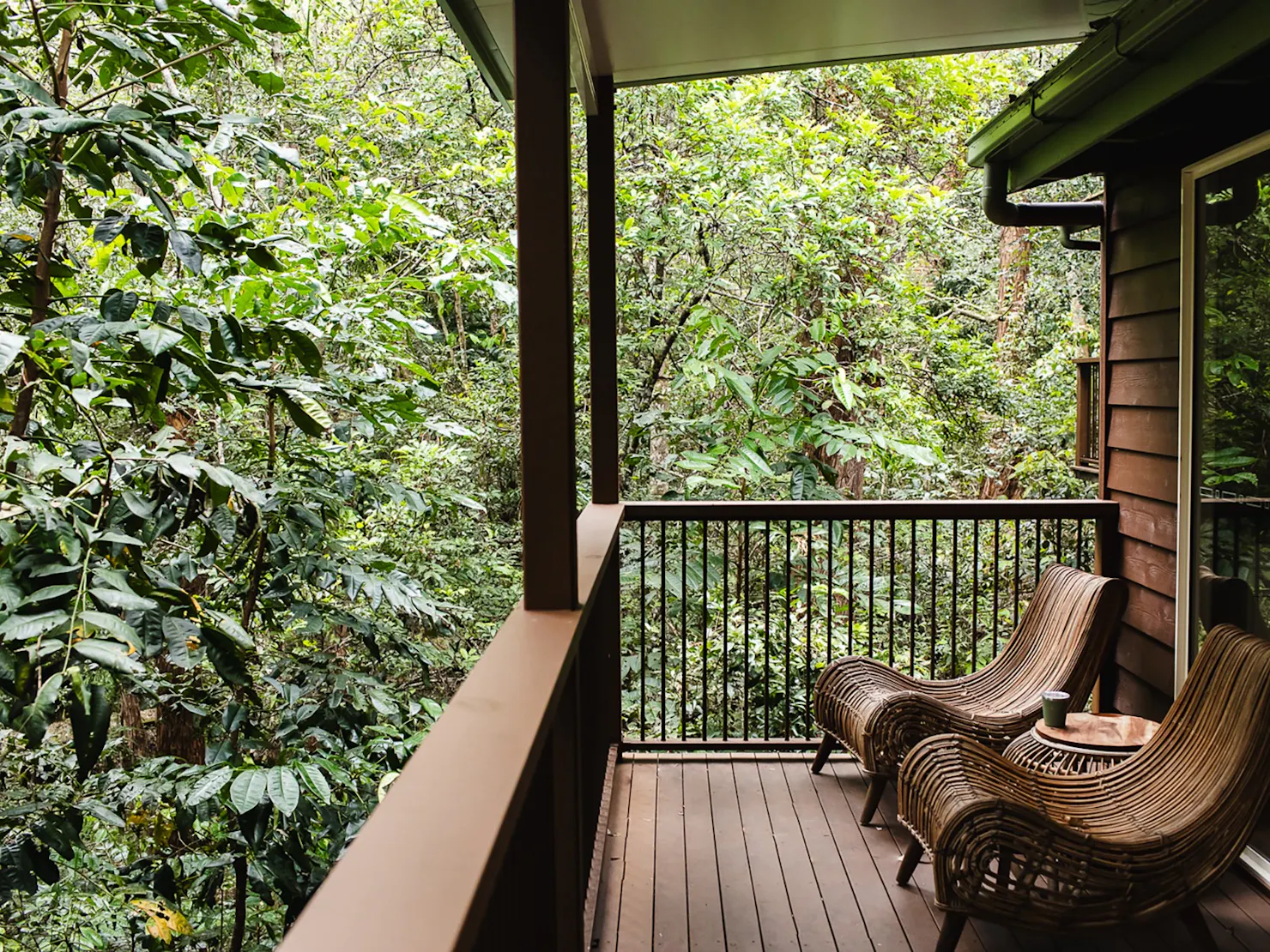 Rainforest Cabin at Kondalilla Eco Resort