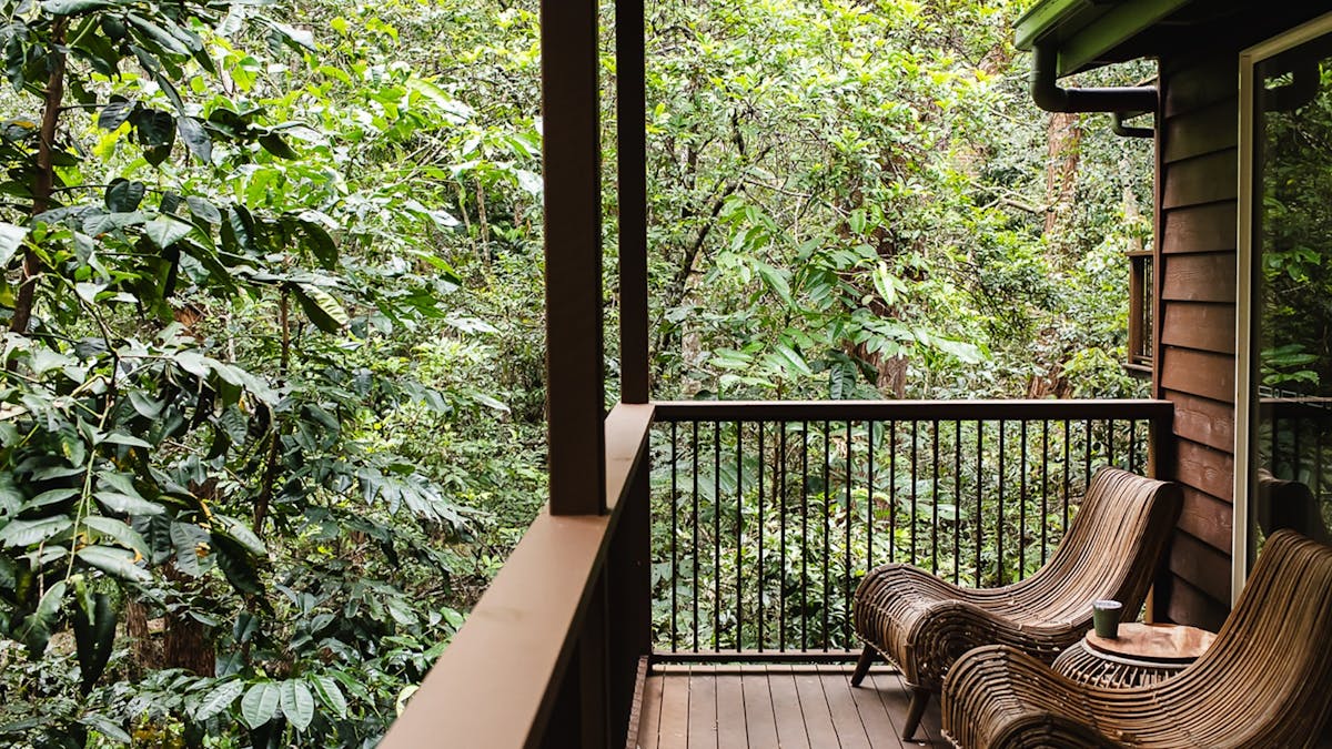 Rainforest Cabin at Kondalilla Eco Resort