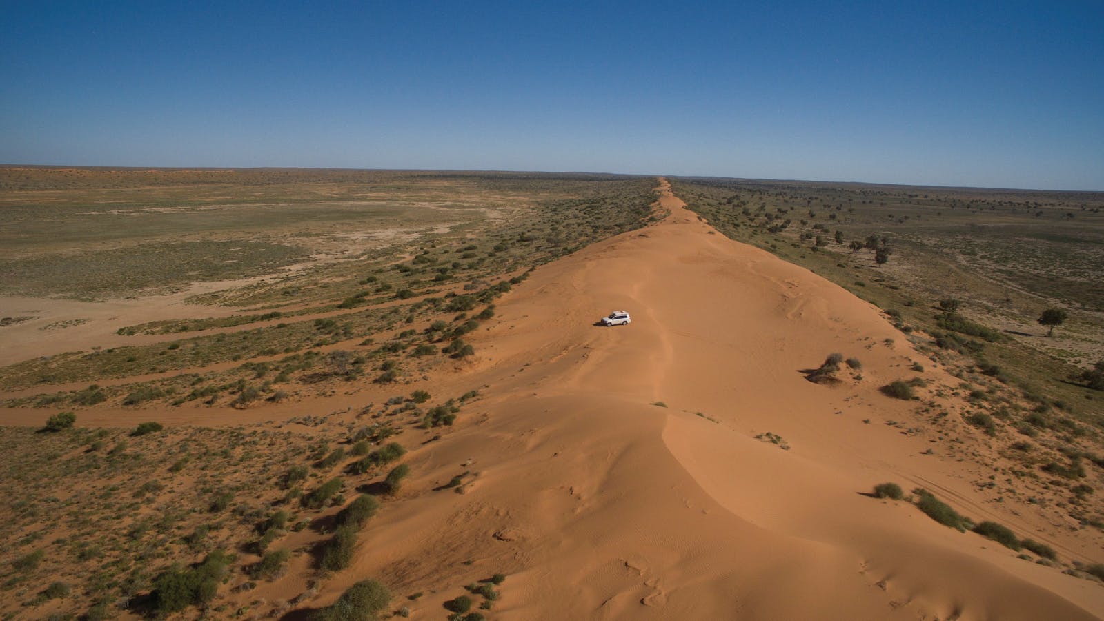 Munga-Thirri  National Park (Simpson Desert)