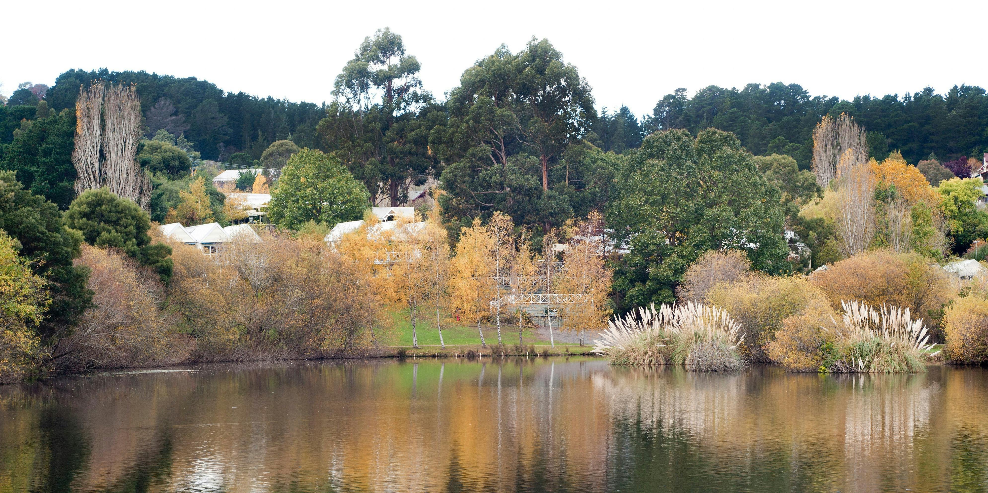 The Lake House