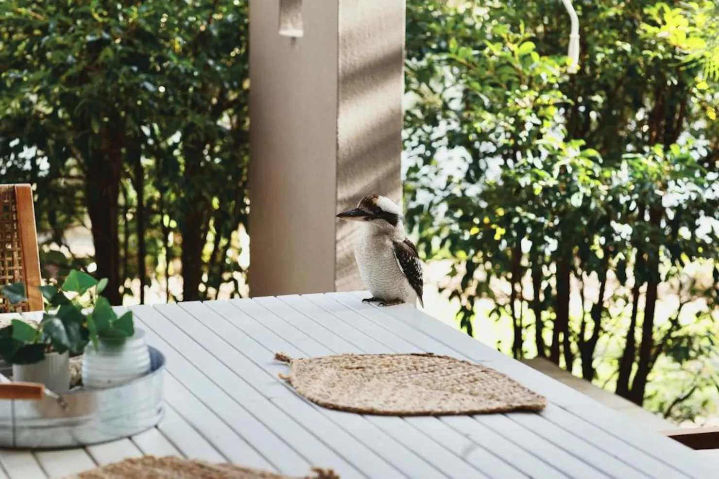 Outdoor Balcony with Kookaburra