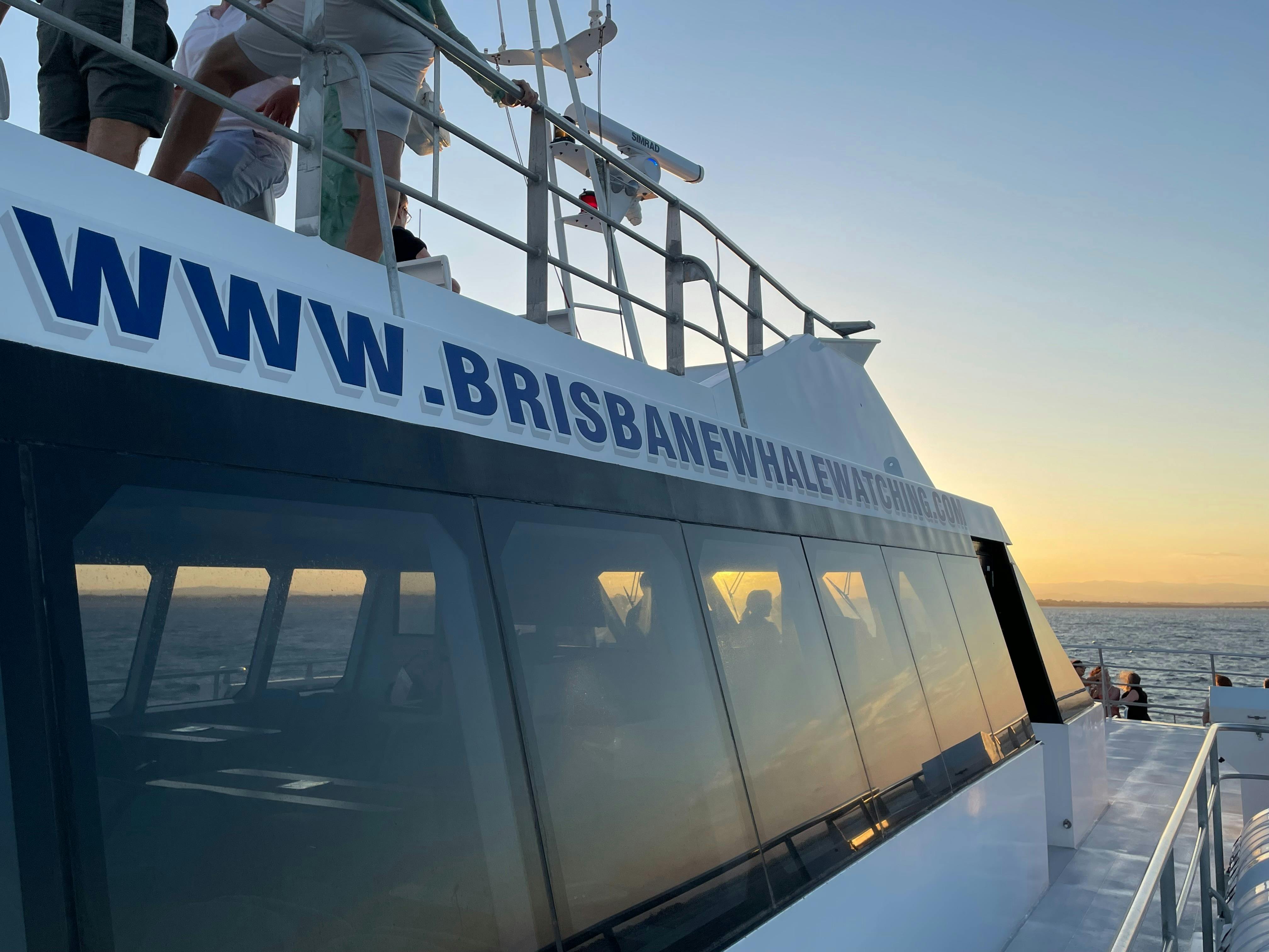 Brisbane Whale Watching