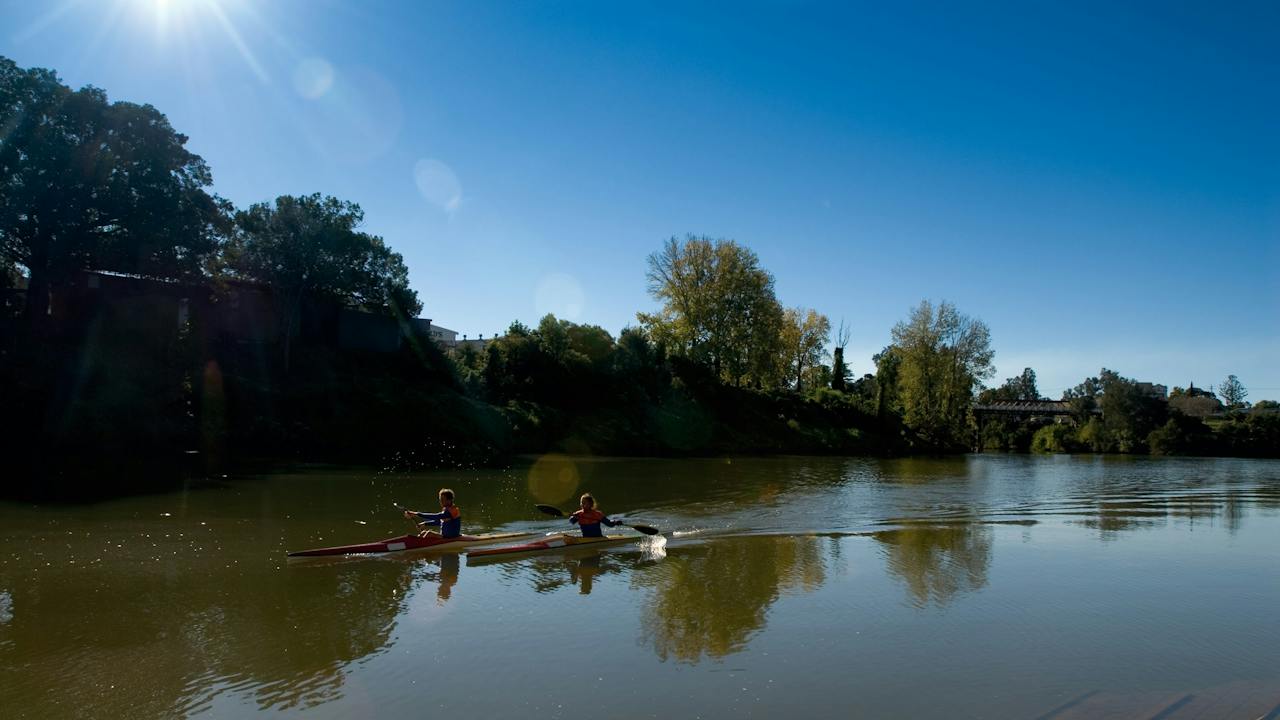 Wilsons River Experience Walk