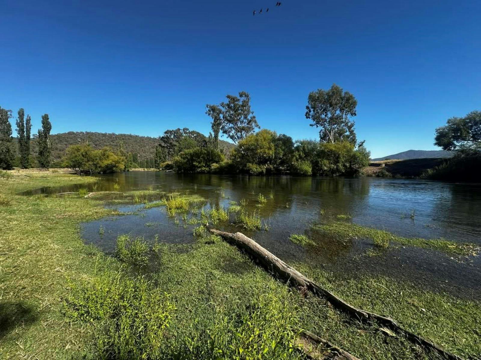 Mitta River