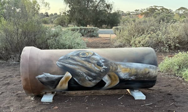 Loxton Mini Silo Art Trail