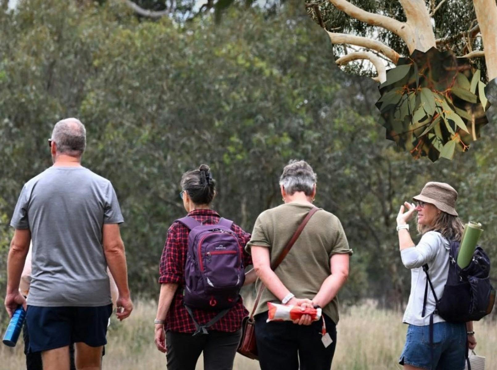 Guide leading nature therapy session
