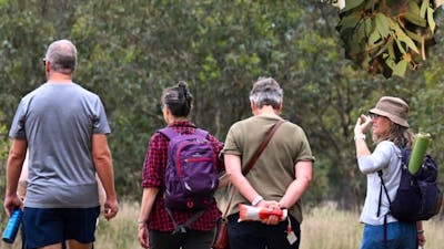 Guide leading nature therapy session
