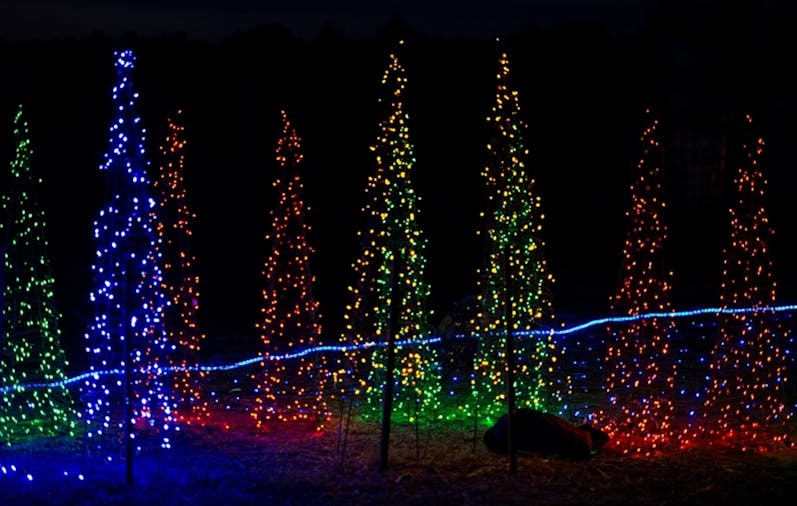 Loxton Christmas Lights Festival