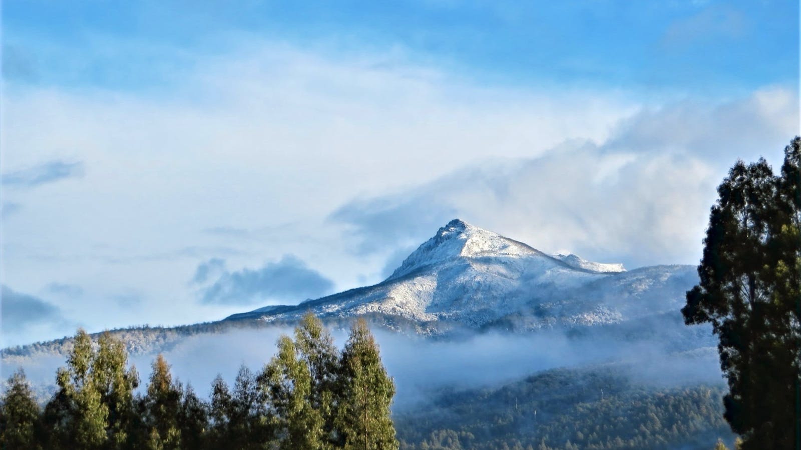 Winter mountain view