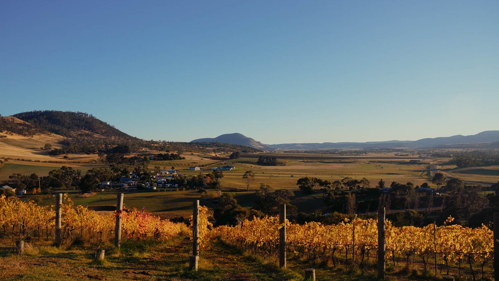 Butcher's Hill in Autumn