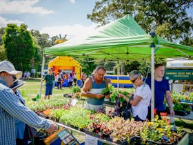 Huskisson Market Cover Image