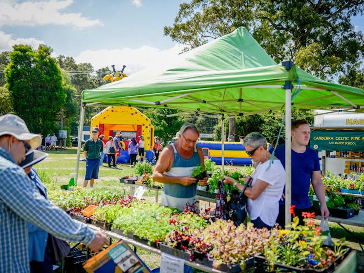 Huskisson Markets