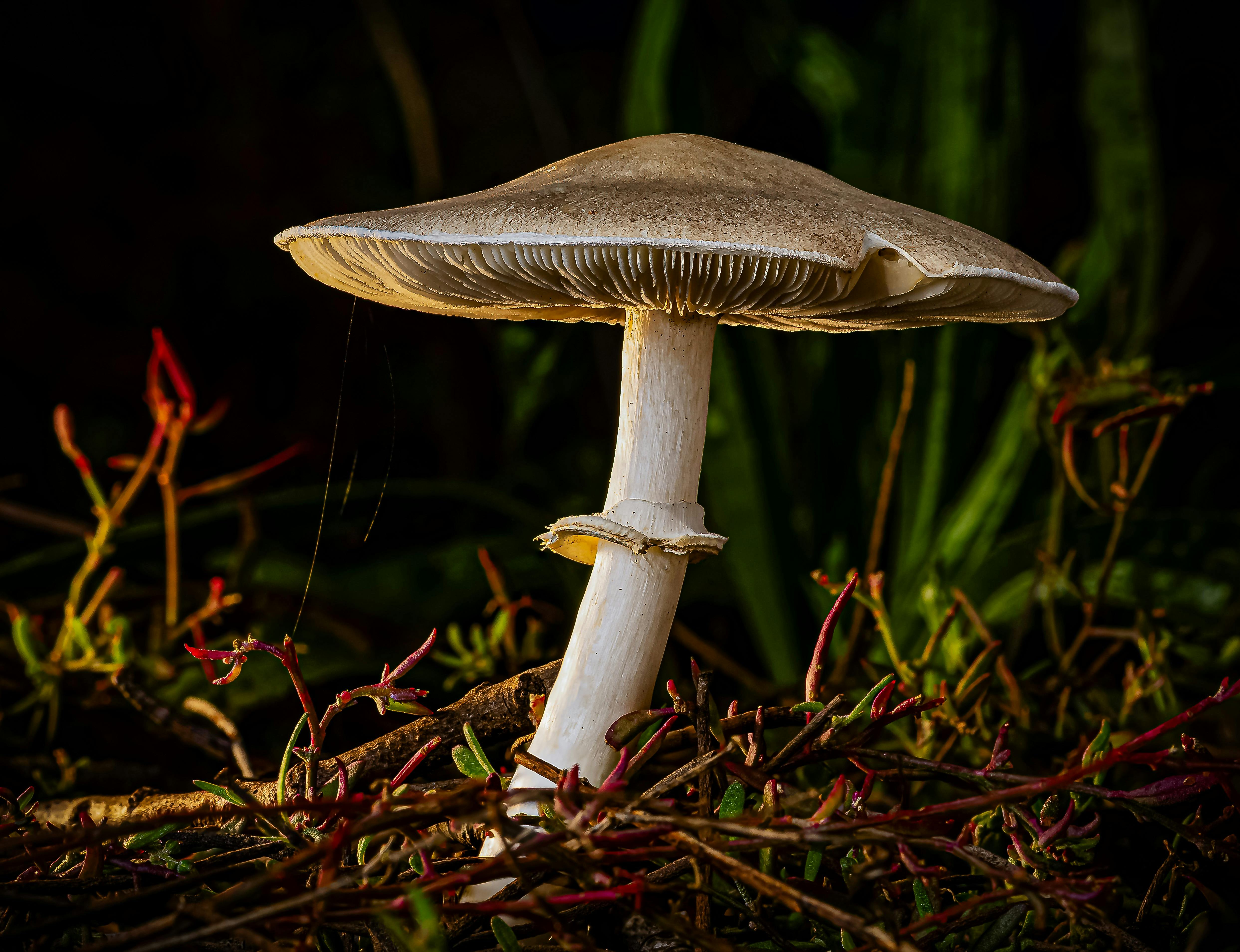 Beginners Photography Workshop