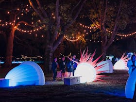 Daly Bay Illuminate