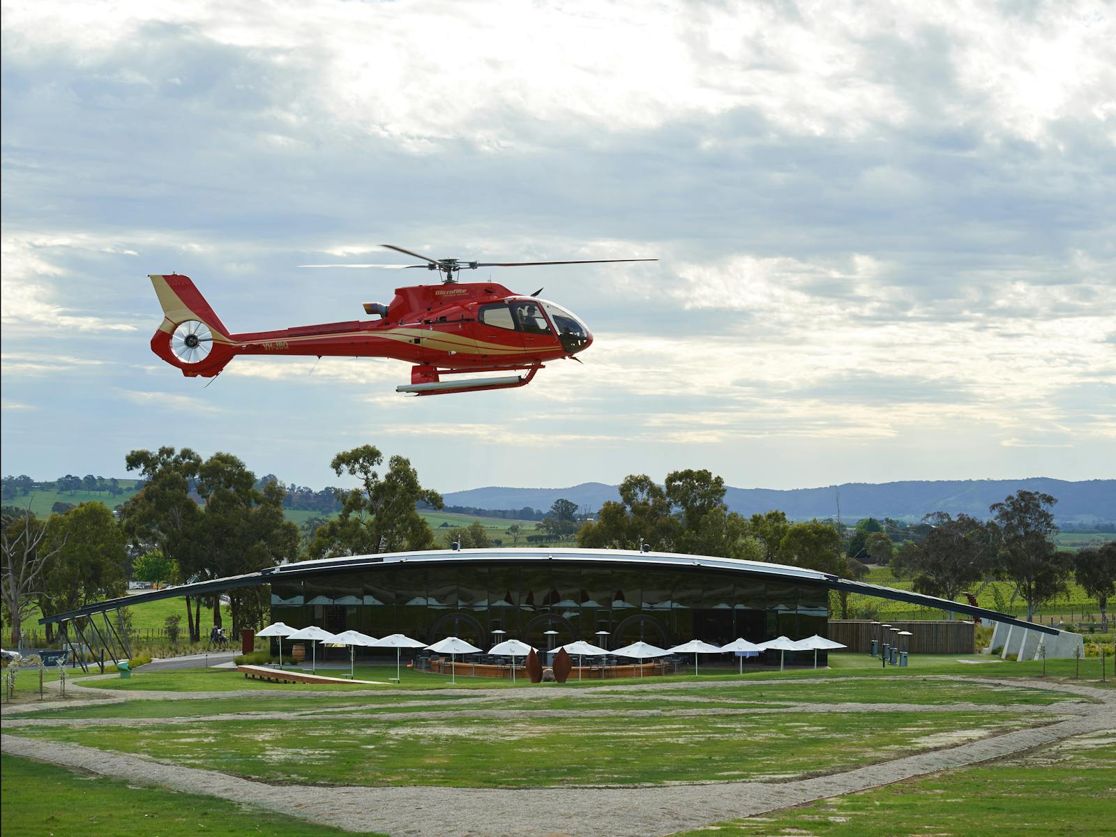 Arriving for delicious food and wine at Levantine Hill.