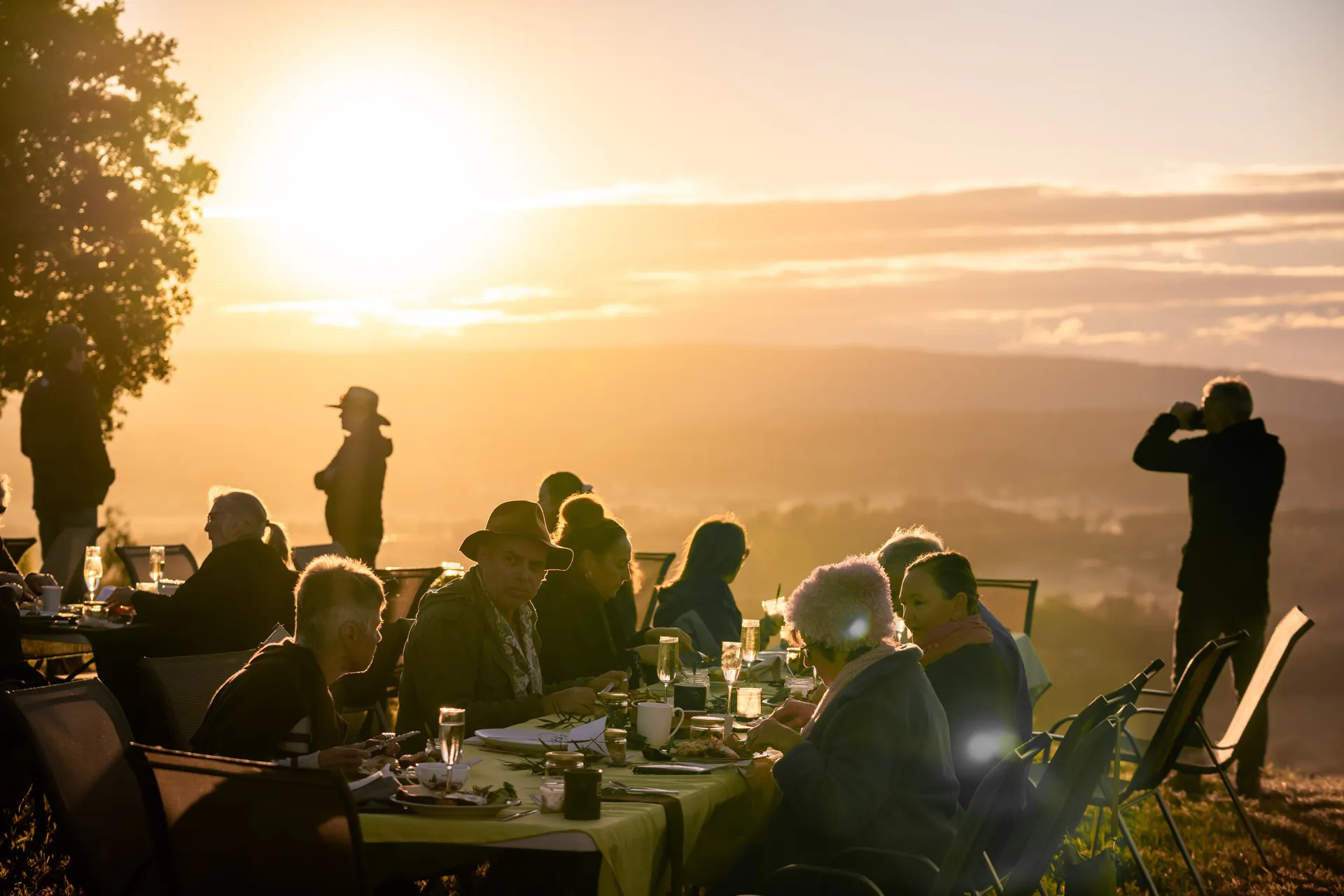 Sunrise at the Avocado Tree Farm