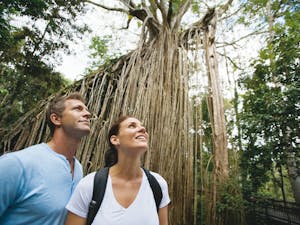 Atherton Tablelands