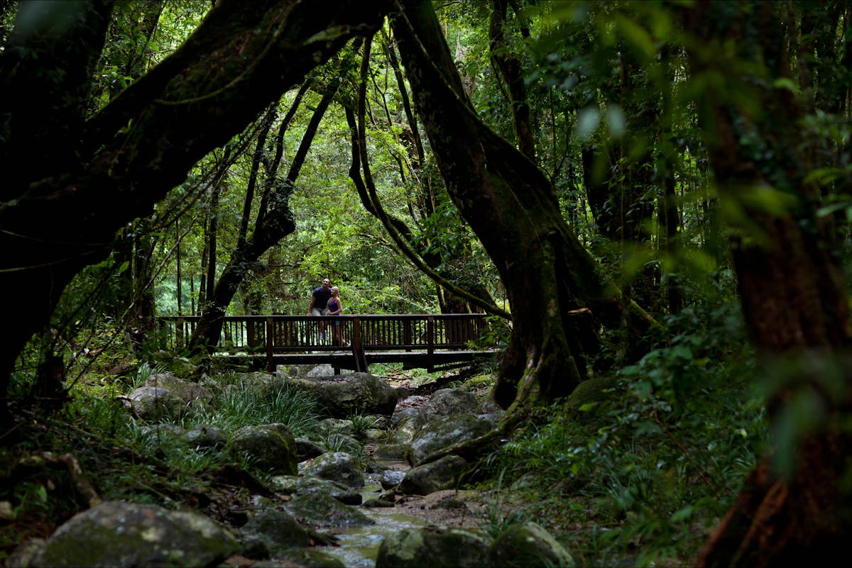 Mossman Gorge