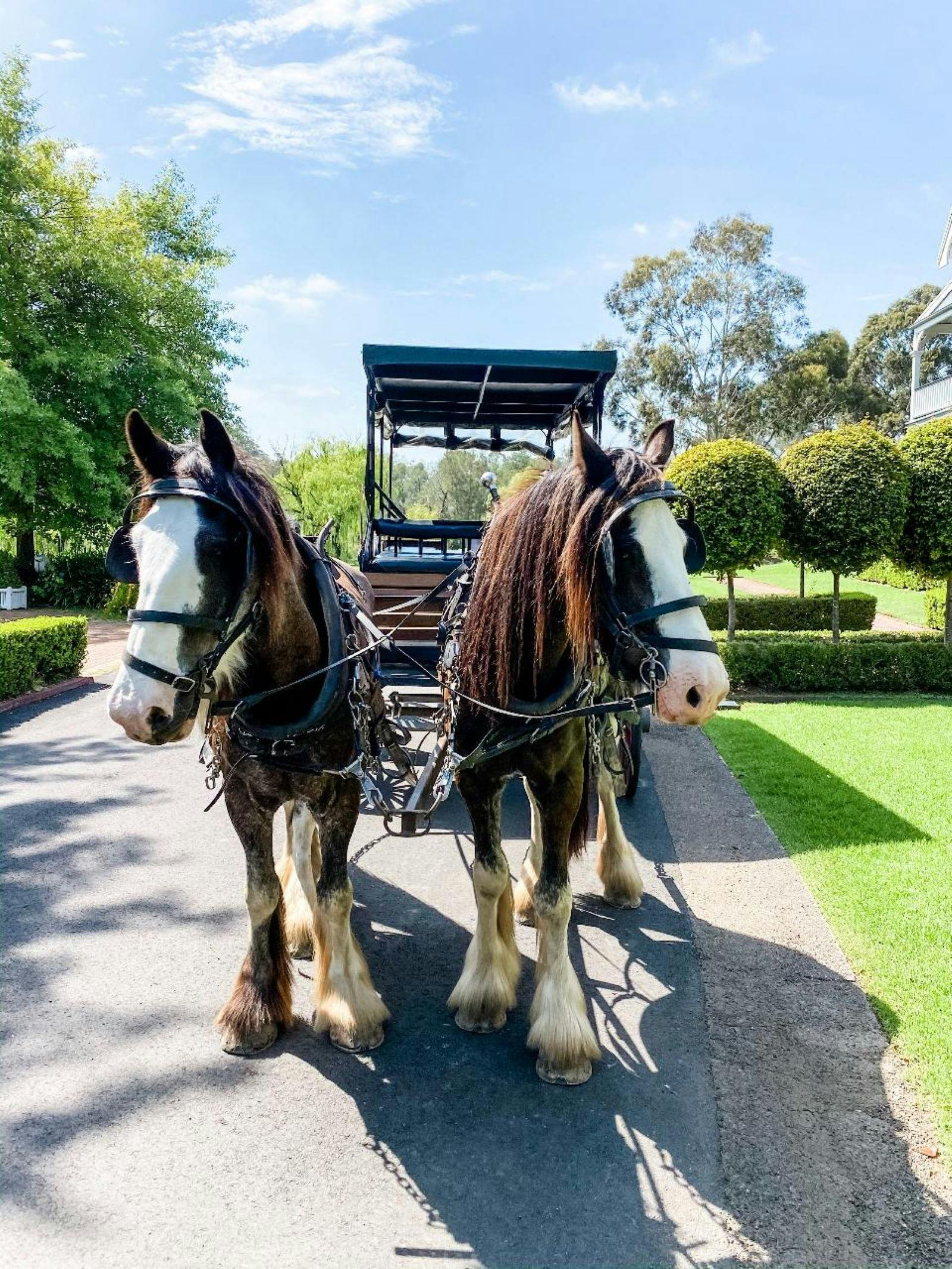 클립 클롭 원스톱 투어
