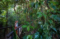Daintree Ecolodge rainforest walks with couple on the walking platform