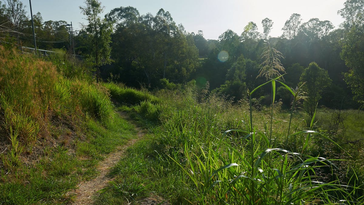 Mihi Junction Reserve