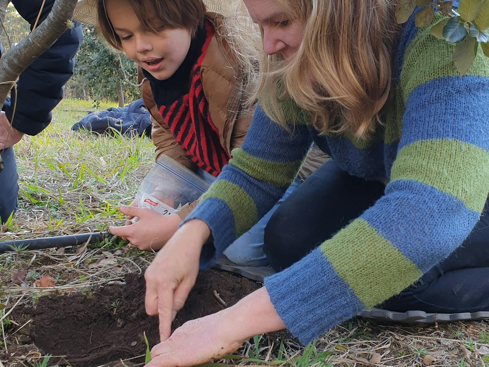 Unearthing a truffle