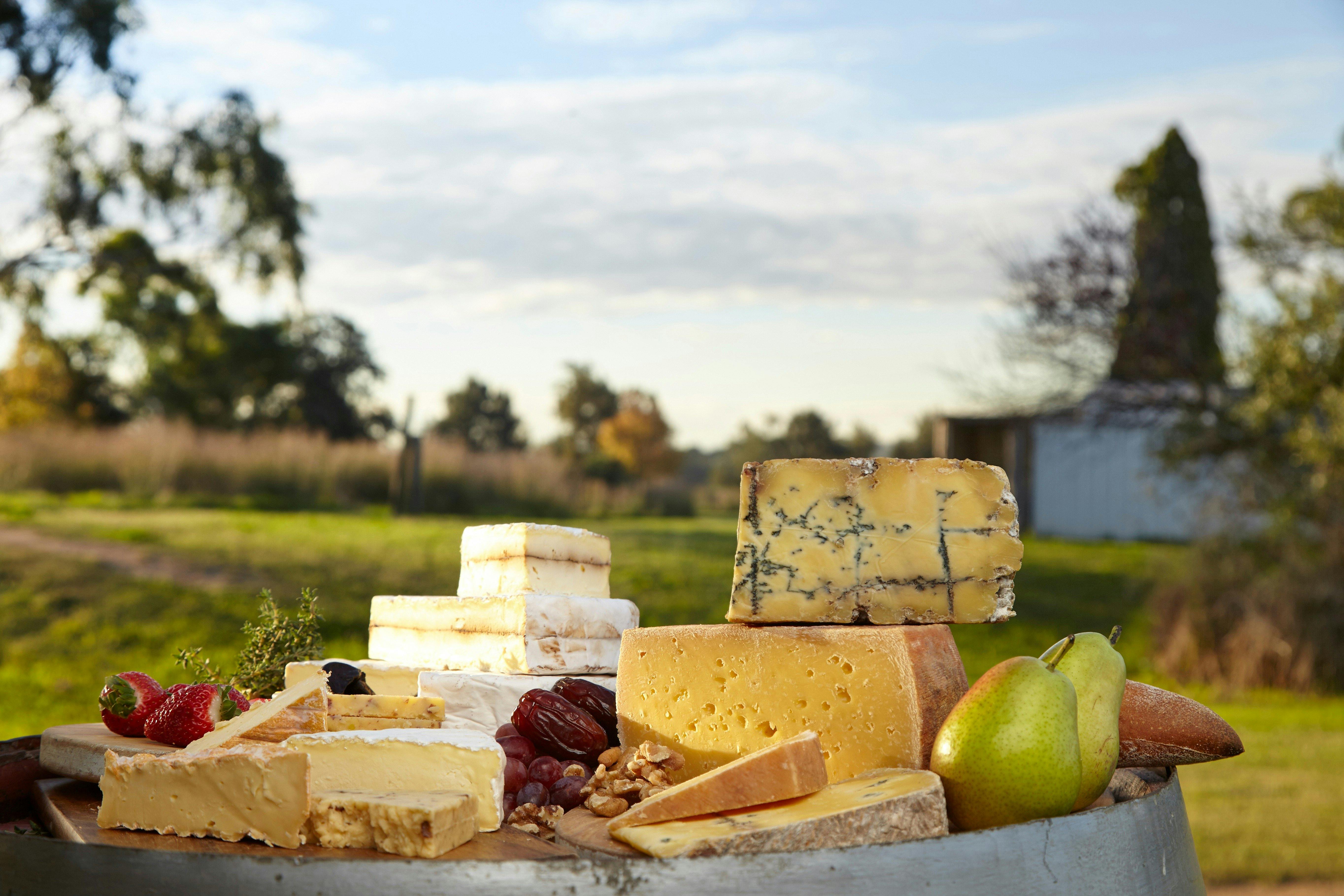 Hunter belle 使用棕色瑞士牛奶製作了各種奶酪